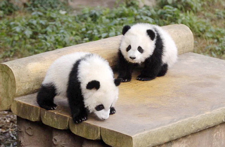 八部门推药品采购“两票制” 降低药品虚高价格